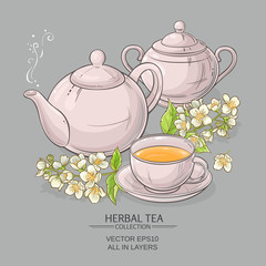 Poster - jasmine tea vector illustration