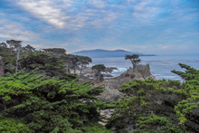 Views Of The Pacific Ocean, 17 Mile Drive, Monterrey, USA, Fall
