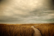 © Richard Schultz - Boardwalk path to the ocean. Cape Cod, MA. USA