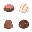 chocolate colorful candies isolated vector illustration