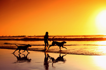 Beach Fun