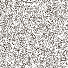 Hand Drawn Seamless Pattern Grape Background. Black White Line Leaves