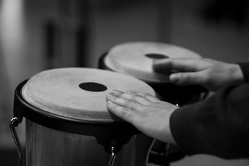 Wall Mural - Hands musician playing the bongos in black and white