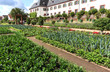 Kloster Seligenstadt – Gemüsegarten im Frühsommer