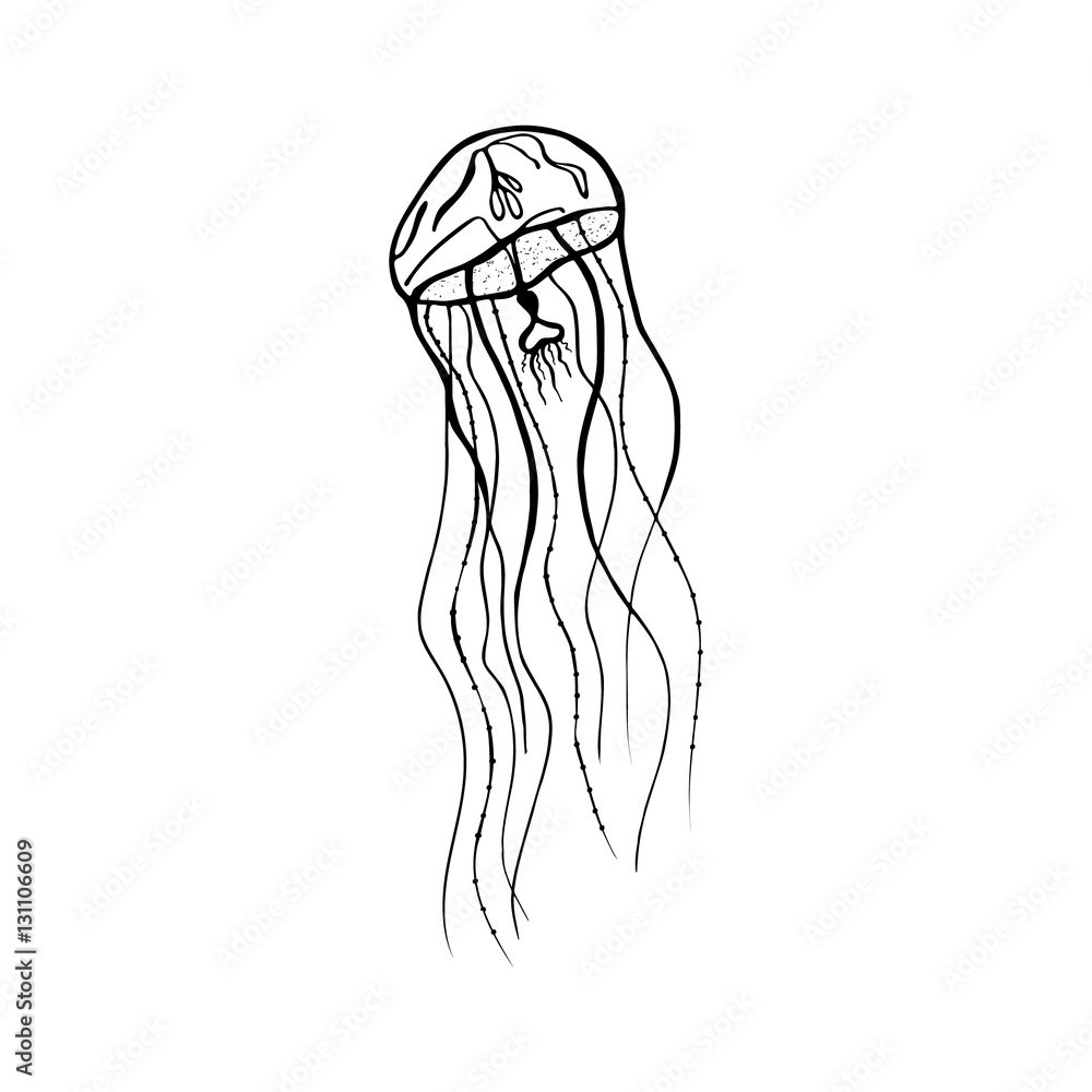 Vector painting jellyfish. Medusa Illustration isolated on white  background, element tattoo design, cartoon, doodle.. Stock Vector | Adobe  Stock, image size:1000x1000