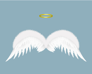 Angel wings and halo isolated on background. Vector illustration.