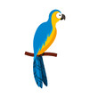 parrot tropical bird icon vector illustration design
