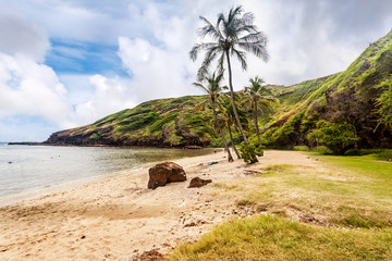 Wall Mural - Far end of the beach at Hanauma Bay, Honolulu, Oahu, Hawaii. The Hanauma Bay Nature Preserve was established to restore a healthy ecosystem to the cove, an eroded flooded volcanic crater