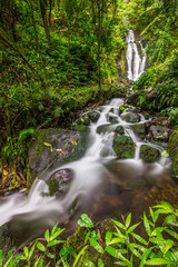 Wall Mural - Gorgeous cascading Hawaiian waterfall