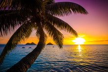 Beautiful Hawaiian Sunrise At Lanikai Beach
