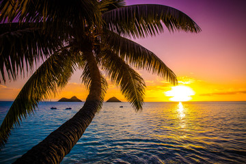 Beautiful Hawaiian Sunrise at Lanikai Beach