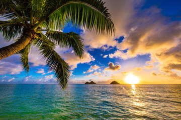 Canvas Print - Beautiful Hawaiian Sunrise at Lanikai Beach