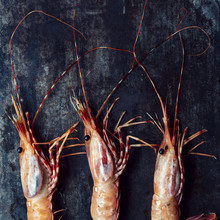 Uncooked prawn heads