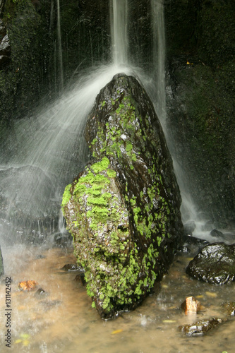 Waterfall - Kinkakuji Temple, Kyoto, Japan Poster Mural XXL