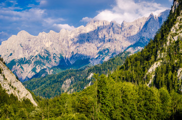 Wall Mural - boschi e montagne in austria