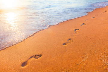 Wall Mural - beach, wave and footprints at sunset time