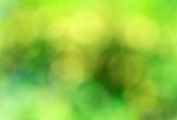 Wall Mural - green bokeh abstract light background