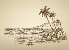 Beach With Palm Trees Illustration