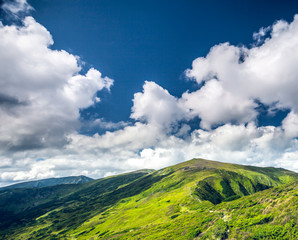 Wall Mural - Beautiful mountain landscape in the summer. Carpathian mountains, Ukraine