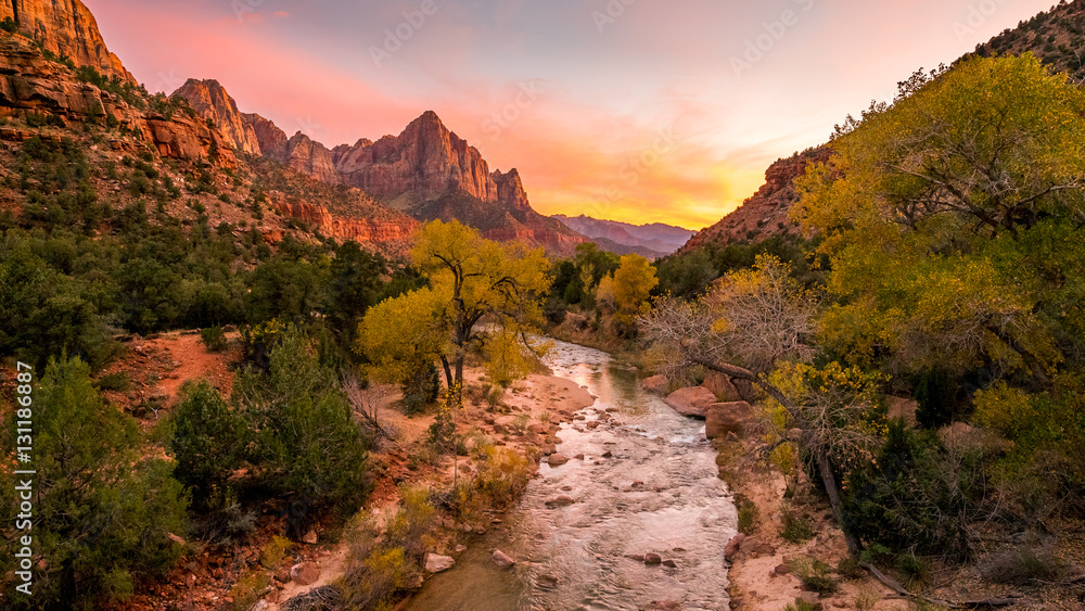 The rays of the sun illuminate red cliffs and river. Park at sunset. A beautiful pink sky. Zion National Park, Utah, USA - obrazy, fototapety, plakaty 