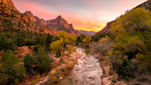 The Rays Of The Sun Illuminate Red Cliffs And River. Park At Sunset. A Beautiful Pink Sky. Zion National Park, Utah, USA