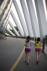 Glass ceiling footbridge with metal structures