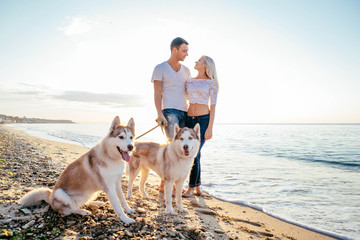 Wall Mural - couple walking with dogs on beach