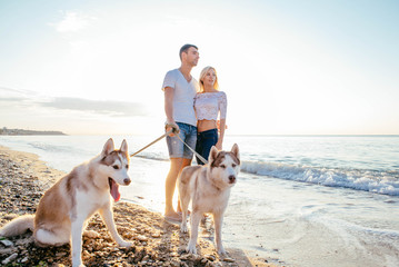 Wall Mural - couple walking with dogs on beach