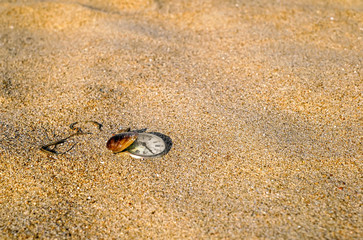 Still life - Vintage rotten pocket watch and sea shell buried partial in the sand.