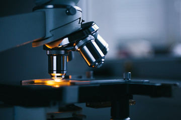 Wall Mural - Close up of examining of test sample under the microscope in laboratory.