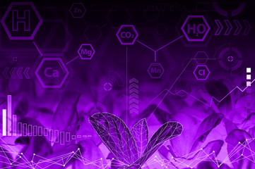 Ecology technology concept - chemical formulas