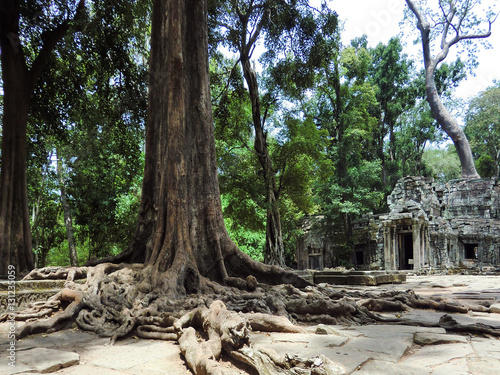 Ta Prohm tree root covered ancient abandoned lost temple in Siem Reap, Cambodia Poster