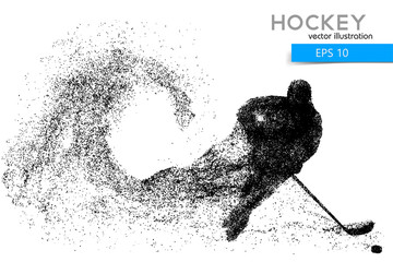 Wall Mural - silhouette of a hockey player from particles.