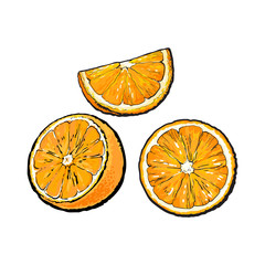 Set of realistic colorful hand drawn half, slice and segment of ripe, juicy orange, sketch vector illustration isolated on white background. Hand drawing of orange cut in half, sliced and segmented