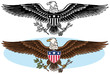American bald eagle patriotic symbol