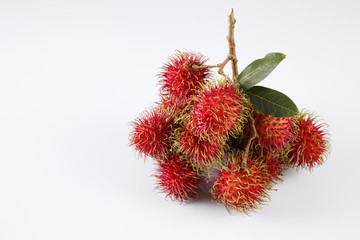 Poster - rambutan