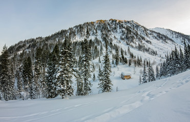 Wall Mural - Cabin house chalets in winter forest with snow