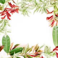 Wall Mural - red and green petals and leaf frame on white background. flat lay.