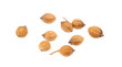 coriander. dry coriander seeds isolated on white background