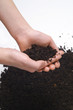 Peat soil in hands on white background
