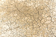 Dried and cracked sandy soil from a drained desert lakebed
