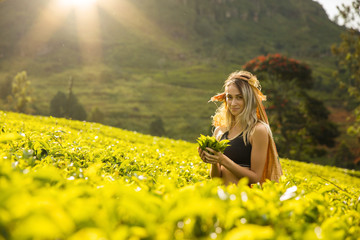 woman and tea in srilanka