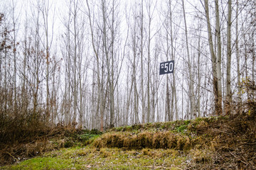  The mark on the coast