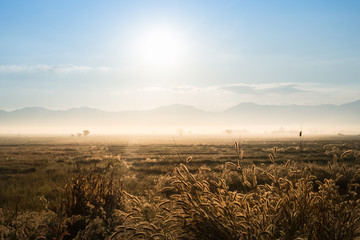 Wall Mural - sunrise on field mountain