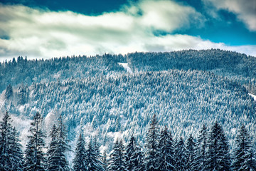 Carpathian mountains nature vacation mountain