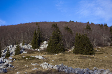 Northern Velebit (mountain n Croatia) landscape