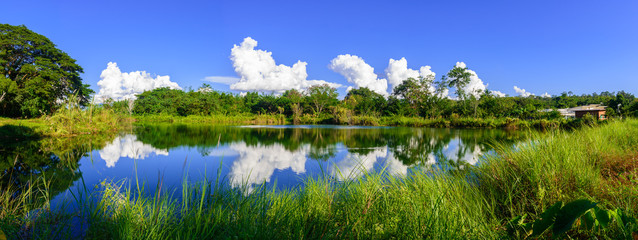 Clear blue lake in a forest.