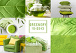 Trendy color concept. Set with greenery color