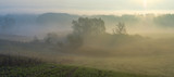 Fototapeta Natura - misty and sunny morning in the countryside