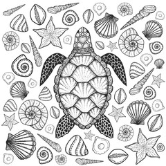 Wall Mural - Sea turtle and shells in line art style. Hand drawn vector illus